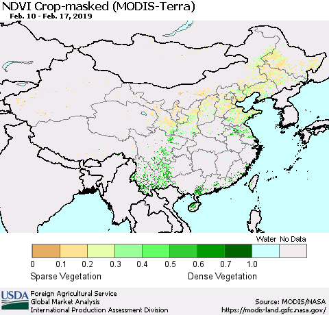 China and Taiwan Cropland NDVI (Terra-MODIS) Thematic Map For 2/11/2019 - 2/20/2019