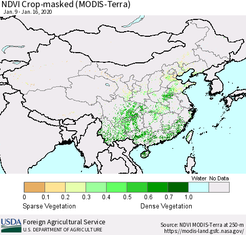 China and Taiwan Cropland NDVI (Terra-MODIS) Thematic Map For 1/11/2020 - 1/20/2020