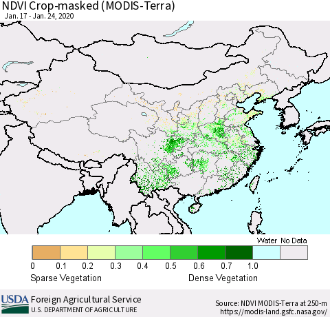 China and Taiwan Cropland NDVI (Terra-MODIS) Thematic Map For 1/21/2020 - 1/31/2020