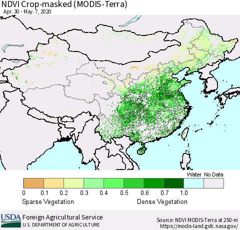 China, Mongolia and Taiwan Cropland NDVI (Terra-MODIS) Thematic Map For 5/1/2020 - 5/10/2020