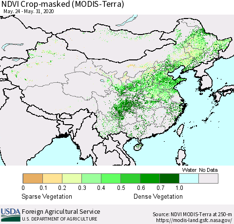 China and Taiwan Cropland NDVI (Terra-MODIS) Thematic Map For 5/21/2020 - 5/31/2020