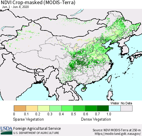 China and Taiwan Cropland NDVI (Terra-MODIS) Thematic Map For 6/1/2020 - 6/10/2020