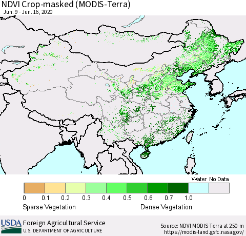 China, Mongolia and Taiwan Cropland NDVI (Terra-MODIS) Thematic Map For 6/11/2020 - 6/20/2020