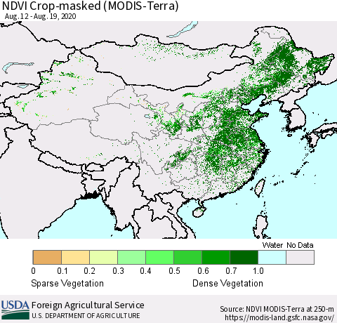 China and Taiwan Cropland NDVI (Terra-MODIS) Thematic Map For 8/11/2020 - 8/20/2020