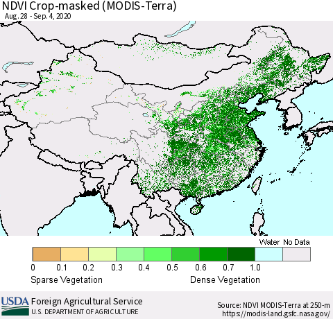 China and Taiwan Cropland NDVI (Terra-MODIS) Thematic Map For 9/1/2020 - 9/10/2020