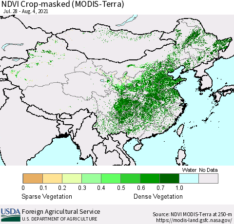 China and Taiwan Cropland NDVI (Terra-MODIS) Thematic Map For 8/1/2021 - 8/10/2021