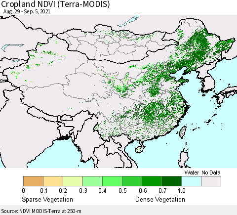 China, Mongolia and Taiwan Cropland NDVI (Terra-MODIS) Thematic Map For 8/29/2021 - 9/5/2021