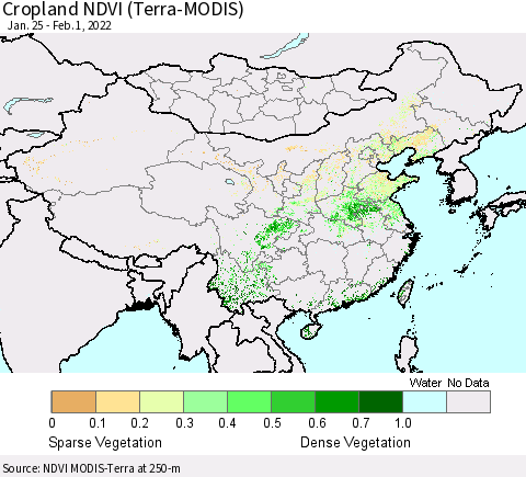 China, Mongolia and Taiwan Cropland NDVI (Terra-MODIS) Thematic Map For 1/25/2022 - 2/1/2022