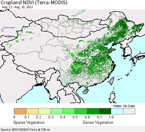China, Mongolia and Taiwan Cropland NDVI (Terra-MODIS) Thematic Map For 8/13/2022 - 8/20/2022