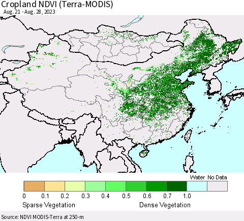 China, Mongolia and Taiwan Cropland NDVI (Terra-MODIS) Thematic Map For 8/21/2023 - 8/28/2023