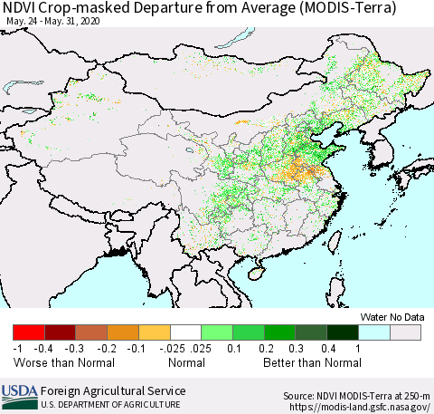 China, Mongolia and Taiwan Cropland NDVI Departure from Average (Terra-MODIS) Thematic Map For 5/21/2020 - 5/31/2020