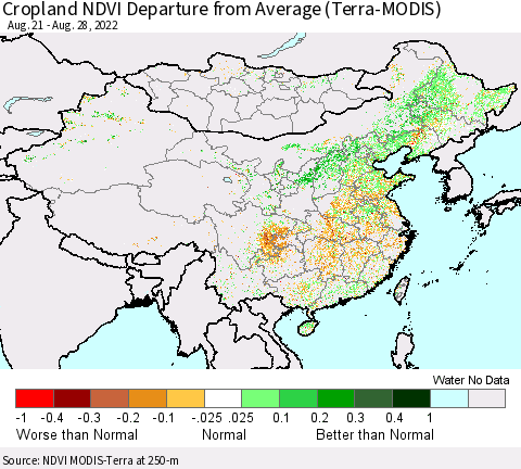 China, Mongolia and Taiwan Cropland NDVI Departure from Average (Terra-MODIS) Thematic Map For 8/21/2022 - 8/28/2022