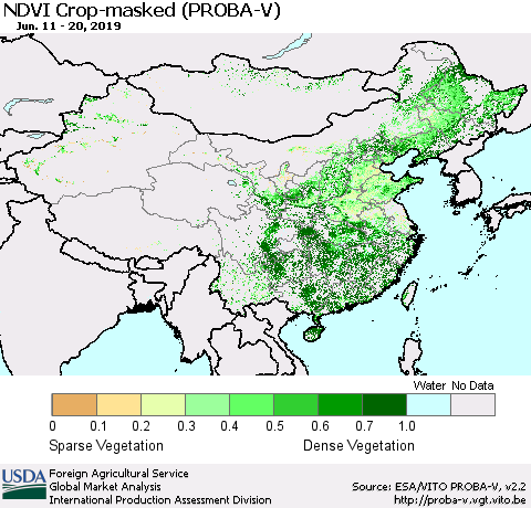 China, Mongolia and Taiwan NDVI Crop-masked (PROBA-V) Thematic Map For 6/11/2019 - 6/20/2019