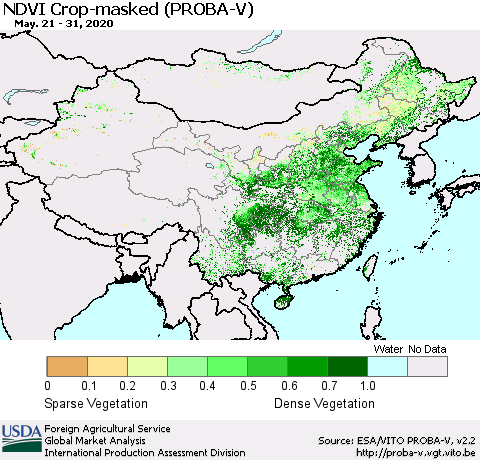 China, Mongolia and Taiwan NDVI Crop-masked (PROBA-V) Thematic Map For 5/21/2020 - 5/31/2020