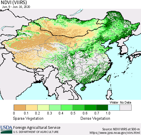 China, Mongolia and Taiwan NDVI (VIIRS) Thematic Map For 6/11/2020 - 6/20/2020