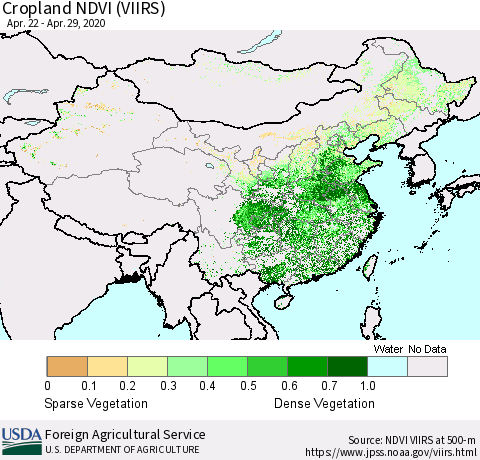 China, Mongolia and Taiwan Cropland NDVI (VIIRS) Thematic Map For 4/21/2020 - 4/30/2020