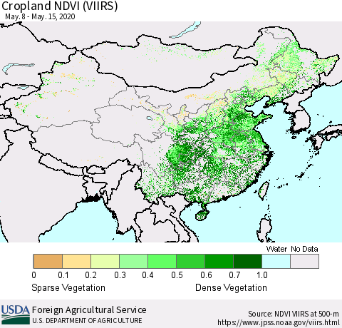 China, Mongolia and Taiwan Cropland NDVI (VIIRS) Thematic Map For 5/11/2020 - 5/20/2020