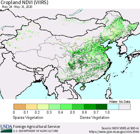 China and Taiwan Cropland NDVI (VIIRS) Thematic Map For 5/21/2020 - 5/31/2020