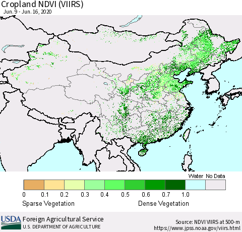 China and Taiwan Cropland NDVI (VIIRS) Thematic Map For 6/11/2020 - 6/20/2020