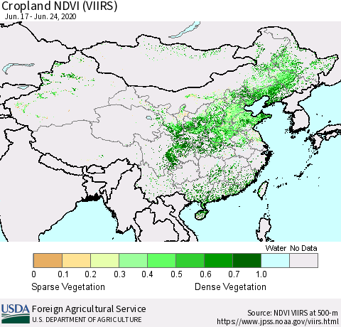 China and Taiwan Cropland NDVI (VIIRS) Thematic Map For 6/21/2020 - 6/30/2020