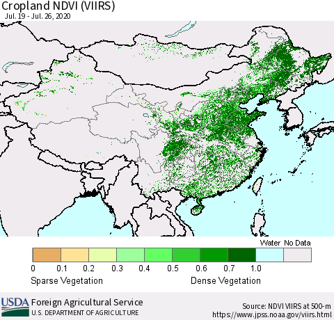 China and Taiwan Cropland NDVI (VIIRS) Thematic Map For 7/21/2020 - 7/31/2020