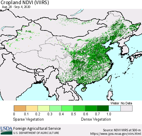 China and Taiwan Cropland NDVI (VIIRS) Thematic Map For 9/1/2020 - 9/10/2020