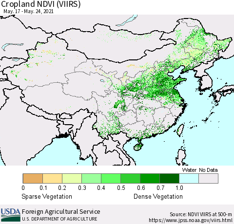 China and Taiwan Cropland NDVI (VIIRS) Thematic Map For 5/21/2021 - 5/31/2021