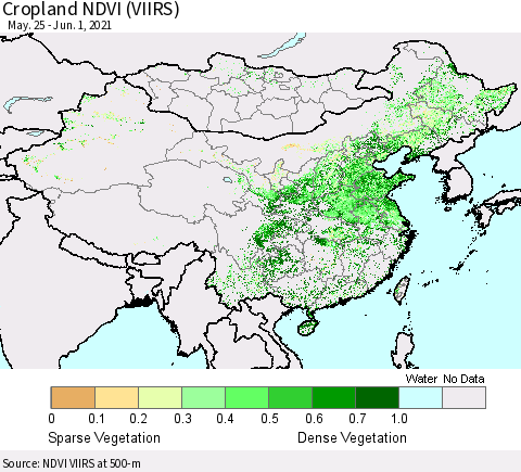 China, Mongolia and Taiwan Cropland NDVI (VIIRS) Thematic Map For 5/25/2021 - 6/1/2021
