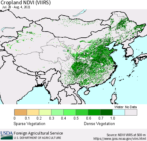 China and Taiwan Cropland NDVI (VIIRS) Thematic Map For 8/1/2021 - 8/10/2021