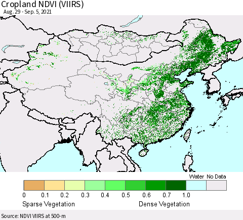 China, Mongolia and Taiwan Cropland NDVI (VIIRS) Thematic Map For 8/29/2021 - 9/5/2021