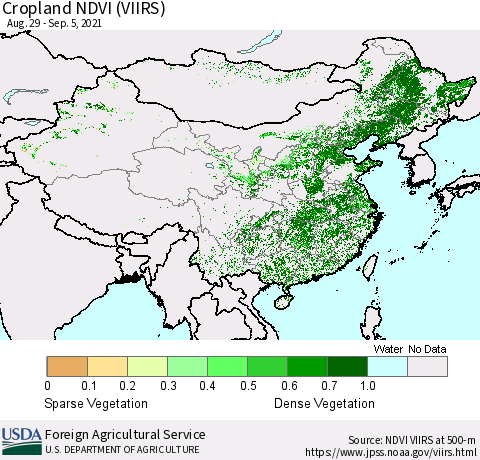 China and Taiwan Cropland NDVI (VIIRS) Thematic Map For 9/1/2021 - 9/10/2021