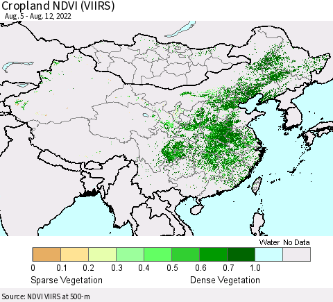 China, Mongolia and Taiwan Cropland NDVI (VIIRS) Thematic Map For 8/5/2022 - 8/12/2022