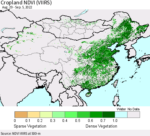 China, Mongolia and Taiwan Cropland NDVI (VIIRS) Thematic Map For 8/29/2022 - 9/5/2022