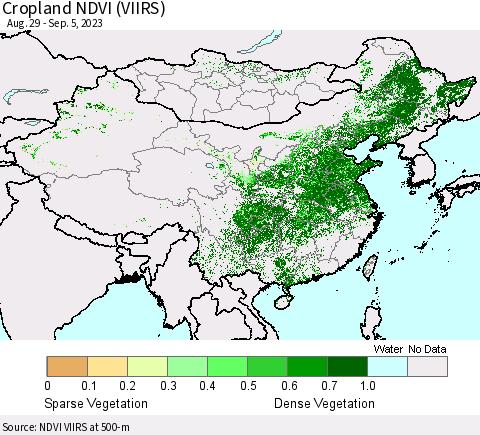 China, Mongolia and Taiwan Cropland NDVI (VIIRS) Thematic Map For 8/29/2023 - 9/5/2023