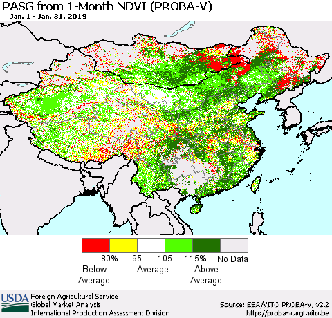 China and Taiwan PASG from 1-Month NDVI (PROBA-V) Thematic Map For 1/21/2019 - 1/31/2019