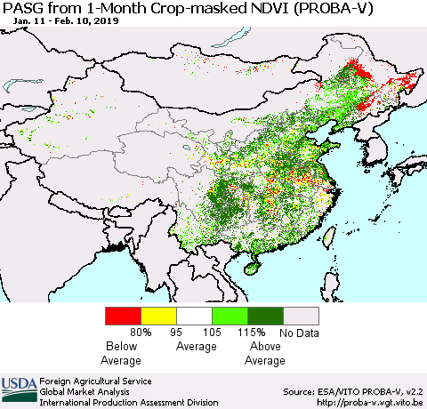 China and Taiwan PASG from 1-Month Crop-masked NDVI (PROBA-V) Thematic Map For 2/1/2019 - 2/10/2019