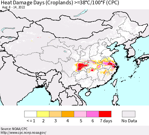 China, Mongolia and Taiwan Heat Damage Days (Croplands) >=38°C/100°F (CPC) Thematic Map For 8/8/2022 - 8/14/2022