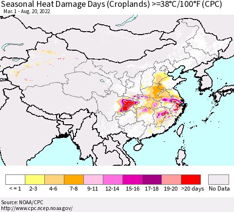 China, Mongolia and Taiwan Seasonal Heat Damage Days (Croplands) >=38°C/100°F (CPC) Thematic Map For 3/1/2022 - 8/20/2022