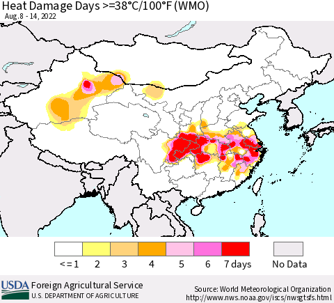 China, Mongolia and Taiwan Heat Damage Days >=38°C/100°F (WMO) Thematic Map For 8/8/2022 - 8/14/2022