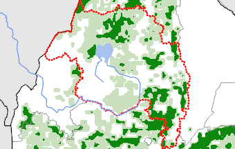 Amhara