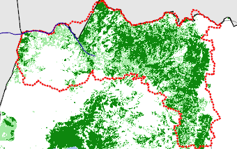 Tigray