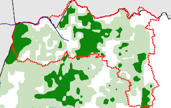 Tigray