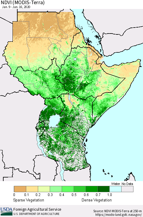 Eastern Africa NDVI (Terra-MODIS) Thematic Map For 1/11/2020 - 1/20/2020
