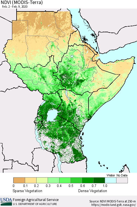 Eastern Africa NDVI (Terra-MODIS) Thematic Map For 2/1/2020 - 2/10/2020