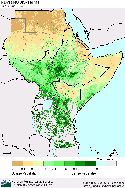 Eastern Africa NDVI (Terra-MODIS) Thematic Map For 1/11/2021 - 1/20/2021