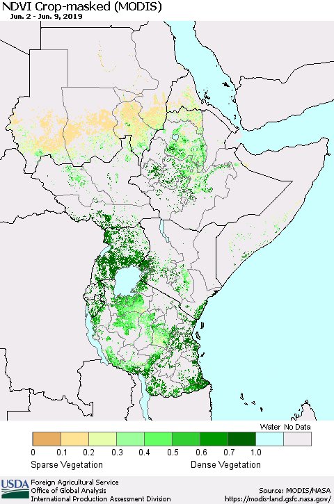 Eastern Africa Cropland NDVI (Terra-MODIS) Thematic Map For 6/1/2019 - 6/10/2019