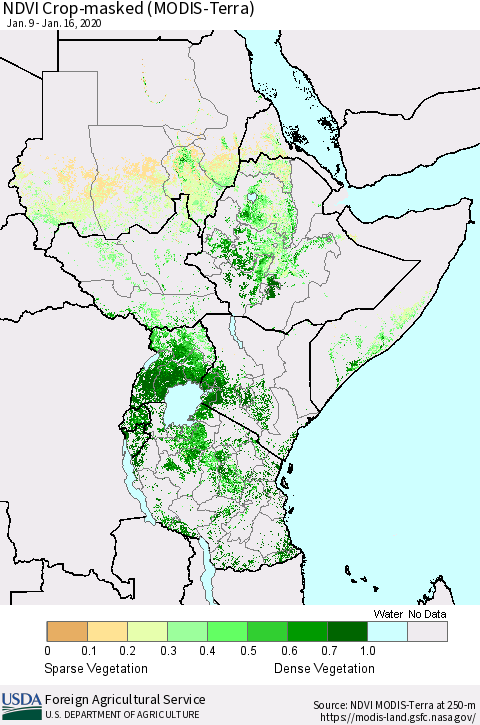 Eastern Africa Cropland NDVI (Terra-MODIS) Thematic Map For 1/11/2020 - 1/20/2020