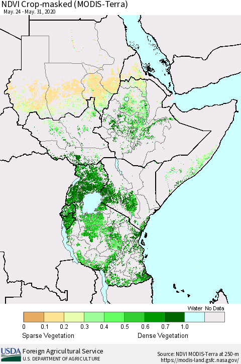 Eastern Africa Cropland NDVI (Terra-MODIS) Thematic Map For 5/21/2020 - 5/31/2020
