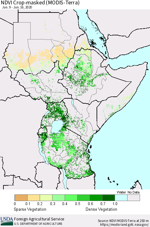 Eastern Africa NDVI Crop-masked (MODIS-Terra) Thematic Map For 6/11/2020 - 6/20/2020