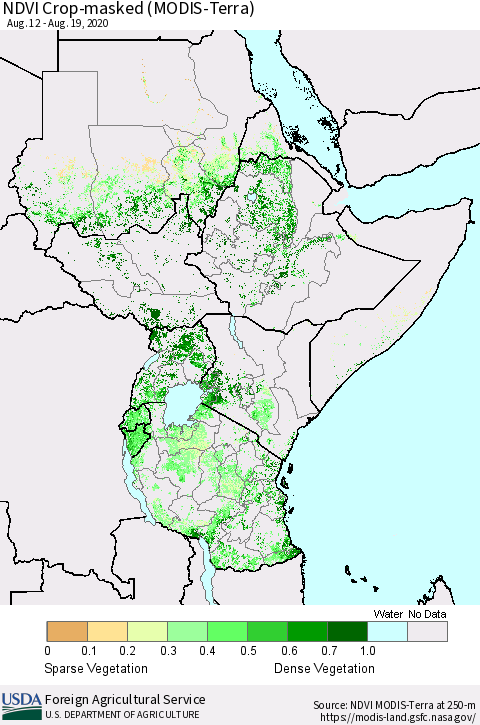 Eastern Africa NDVI Crop-masked (MODIS-Terra) Thematic Map For 8/11/2020 - 8/20/2020
